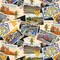 Licensed NCAA West Virginia Postcards WV-1211 Cotton Fabric by the Yard